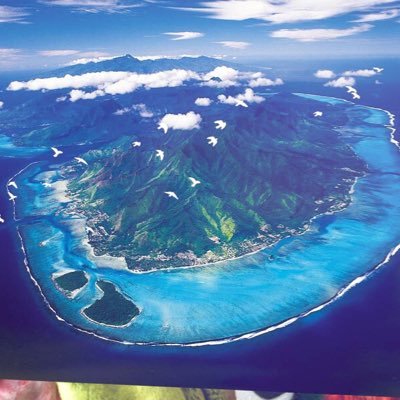 mooreankoi's profile picture. a woman in my 30s, raised in Kanagawa, JAPAN🌸🚀🌊🌹📷✈︎🌴🚙🌎🕊🌼 Started Running🏃‍♀️Apr.2020💨 FieldCast*