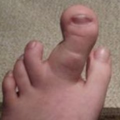 PedrosBigToe's profile picture. 