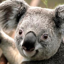 mark__pull's profile picture. you follow i follow back