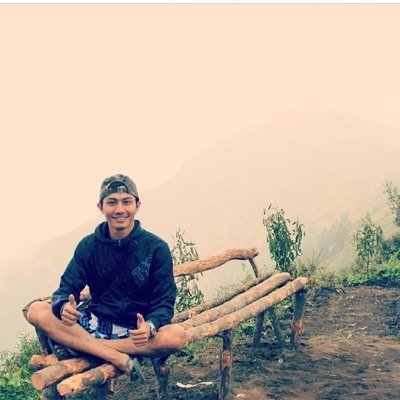 | distian.mandiri@gmail.com |