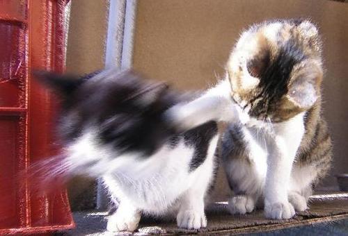 おもしろゲームフラッシュ集 脱出ゲーム集 アクションゲーム グリーンピースメーカー T Co Eehw6yplcw