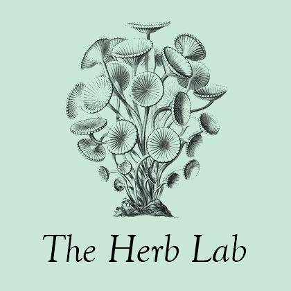 Non-conformist cuisine & tasty utopia 🌱💚🌱 We play with food and concepts of healthy spaces.