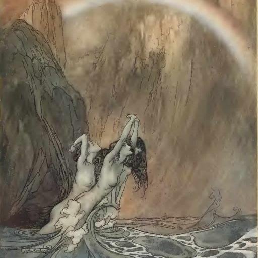 wagnersringnet's profile picture. 