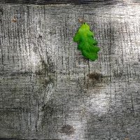 Arduaine Friends (@arduainefriends) 's Twitter Profile