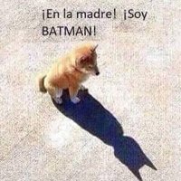 @trumpiates (@lorenzo_olidia) 's Twitter Profile