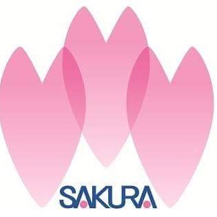 sakura_hoken Profile Picture