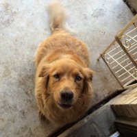 C. Sandoval (@caasmcd) 's Twitter Profile