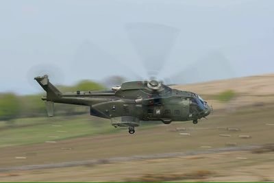 petecw51's profile picture. 