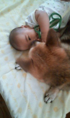 shikitan626's profile picture. 根は真面目な主腐です/趣味と愚痴をこぼす/相模原在住/日本共産党応援//単車･08･05･15*船体12･14･JM･GR、無職転生、青鉄、転スラ、ブラクロ、HQ西東//猫より犬派な猫飼い😃折り紙、マンガ、宋銭収集、アニメ