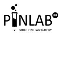 Pin Lab (@pinlabsolutions) 's Twitter Profile