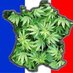 France Hemp (@francehemp) Twitter profile photo France Hemp (@francehemp) Twitter profile photo