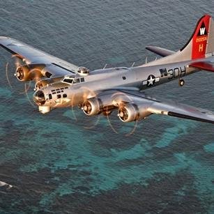 Aviano27's profile picture. First Airline CEO & Journalist on Mars
Taking a Break from Crazy & Racist MAGA