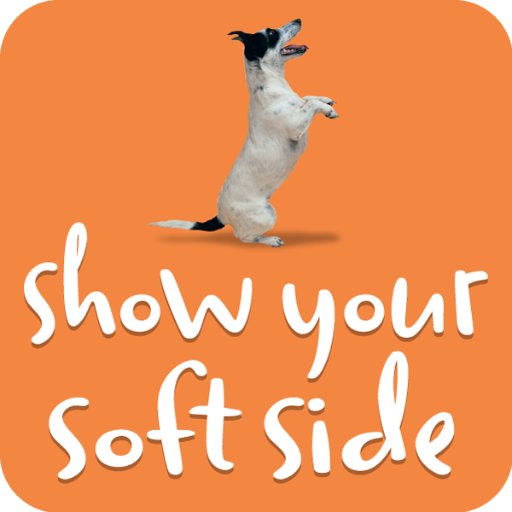 Show Your Soft Side is a public service campaign developed to combat the alarming incidence of animal abuse in communities across the country.