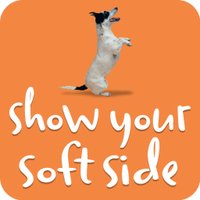 Soft Side(@SoftSide1) 's Twitter Profile Photo