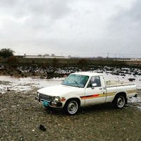 محمد محمد (@mm2596032) 's Twitter Profile