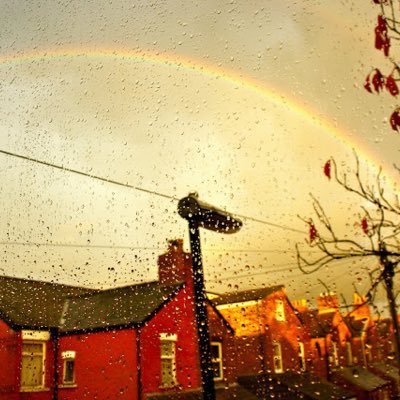 12months, 12 colours, a photo a day, 365 days of colour