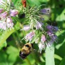 AronBarnes - @AronBarnes - Twitter