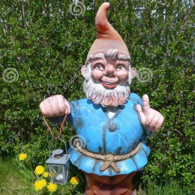 every kind of gnome. need I say more?