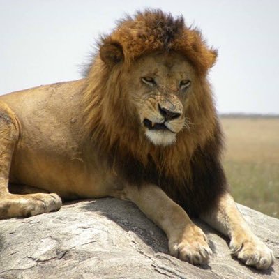 jmarte05's profile picture. 