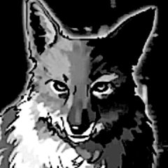 turbulentflow_'s profile picture. 