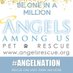 AngelsAmongUsPetResc (@angelsrescue) Twitter profile photo AngelsAmongUsPetResc (@angelsrescue) Twitter profile photo