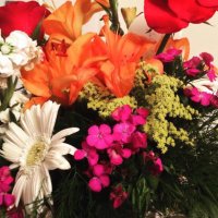 Rahime (@rahimeeeeeeeee) 's Twitter Profile Photo