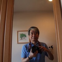 奈良の狸 (@gv8vv) 's Twitter Profile
