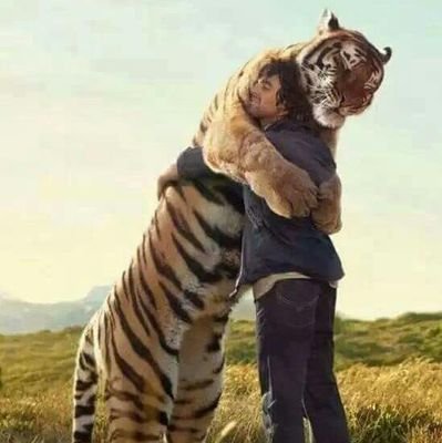 Kvrchamp's profile picture. 