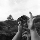 A community for families living open adoption