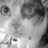 harutukki's profile image