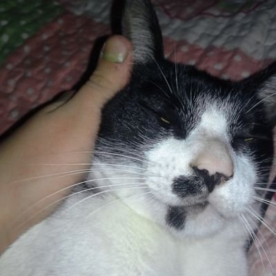 jazmincignacco1's profile picture. Música Jazz