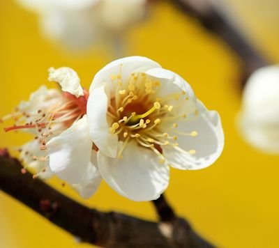 aWZKfgRiFobs5SC's profile picture. ‏استغفر الله