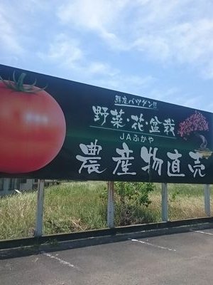 こちらは埼玉県大里郡にあるJAふかやの農産物直売所です。 当直売所は地場産の新鮮野菜、切花、メダカ類の販売、または大規模盆栽陳列棚を有する盆栽販売でも名高い直売所です。 住所 埼玉県大里郡寄居町用土831-1 営業時間 9：00~17：00 定休日 年中無休（年末年始休業日あり） ℡ 048-584-2110