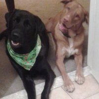 Official C.Baile (@cbaile12) 's Twitter Profile