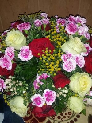 albadr_sasd's profile picture. كن مبتسم