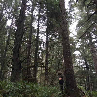 CaitlinBlaBla's profile picture. 