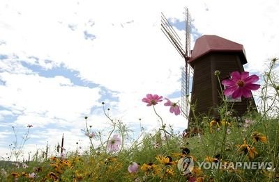 나는 자유로운 영혼♡