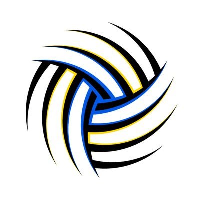 Contoh Logo Tim Bola Voli jasa desain grafis online