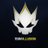 TheTeamiLLusion's profile image