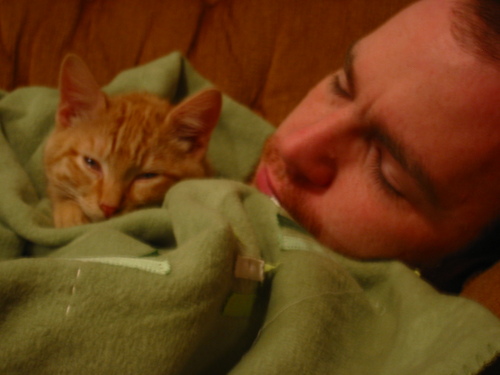 pdxpetsitter's profile picture. Training, Dog walking & Pet Sitting