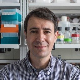 Abramovitch's profile picture. Tuberculosis research and drug discovery