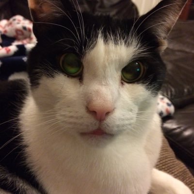 101jobhacks's profile picture. Helping you get through the mundanities of a working life