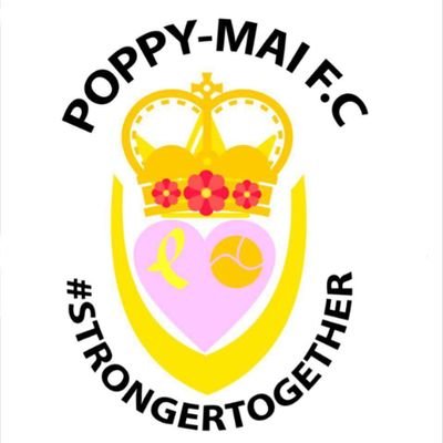 We are playing matches to help raise funds for Poppy's field (where poorly children & their families can go for a break) to play against us please contact us..