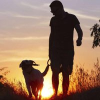 Oscar Rodrigues (@tio_k2) 's Twitter Profile
