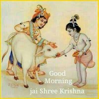 प्रदीप (@pkjha5aug) 's Twitter Profile
