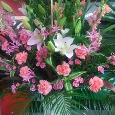 やん Tutinoko0530 Twitter