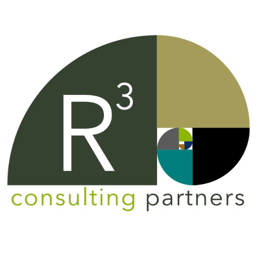 R3 Consulting Profile