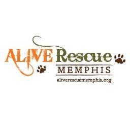 We are an animal rescue protecting the lives and the rights of animals. We believe every animal has the right to a well-balanced, socialized and fulfilled life.