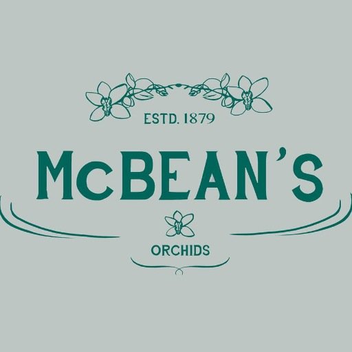 The home of McBeans Orchids. Lovingly growing & nurturing orchids since 1879. Visit our East Sussex Nursery, we are open Wed-Friday, 10am-4pm and buy online