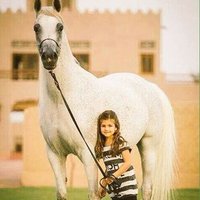 نورة (@zxcvbnm_sh) 's Twitter Profile